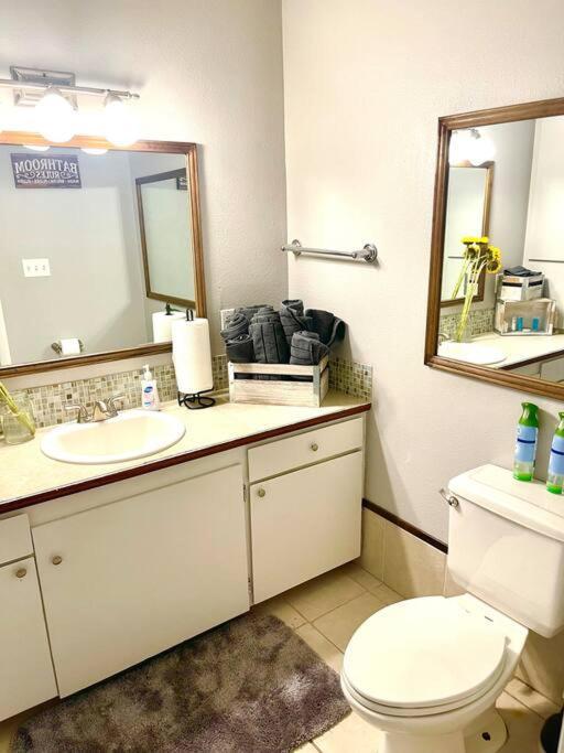 Town & Country Hideaway - 1Br/1Ba, 20 Min Famu/Fsu Lejlighed Tallahassee Eksteriør billede